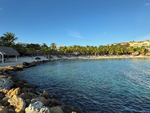 Une plage avec une eau d’un bleu limpide, des palmiers et une structure surmontée d’un toit de chaume.