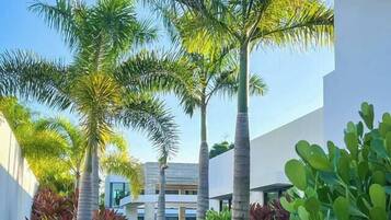 Áreas de la propiedad