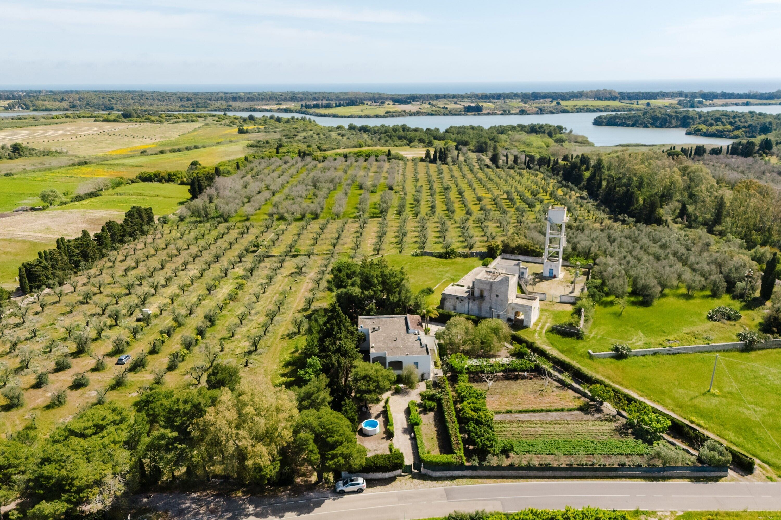 Une vue aérienne d’un vignoble avec des rangées de vignes, un bâtiment doté d’une piscine et une étendue d’eau en arrière-plan.