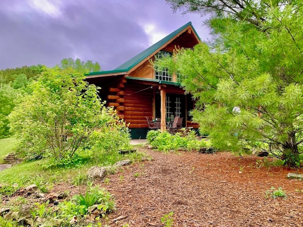 A log cabin with a green roof, surrounded by lush greenery and a well-maintained garden.