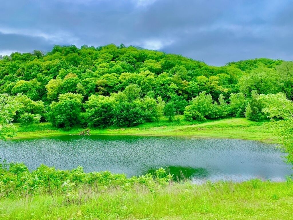 A serene landscape with a lake surrounded by lush greenery and a hill in the background.