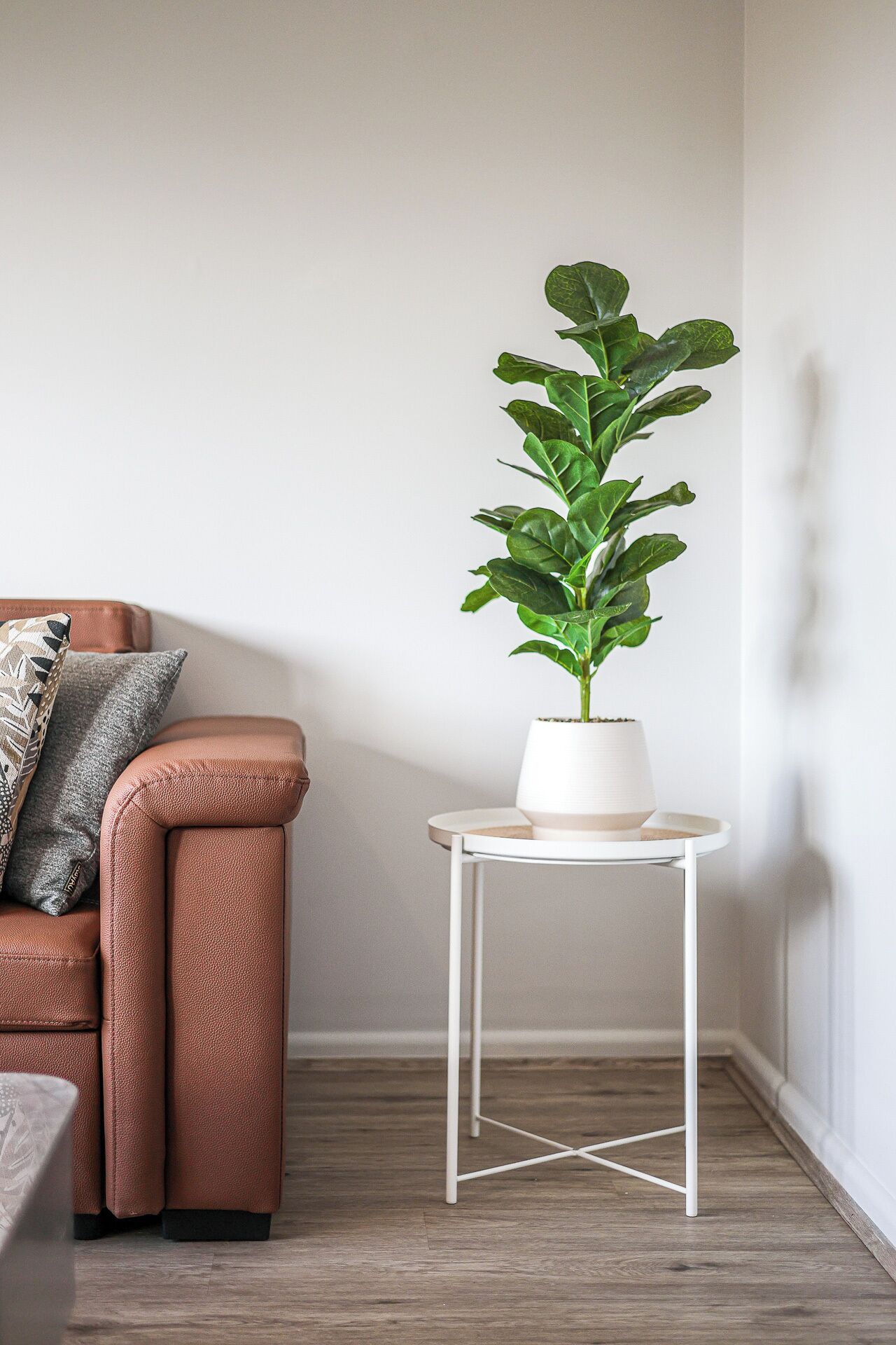 A living room with a brown leather sofa, a white side table with a potted plant, and a grey pillow.