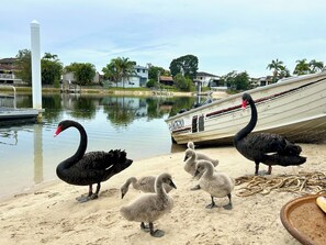 On the beach, sun-loungers