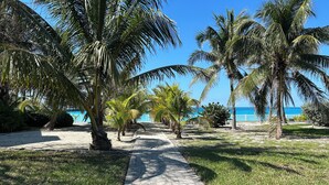 Ein gepflasterter Weg, gesäumt von Palmen, der zu einem Strand führt.
