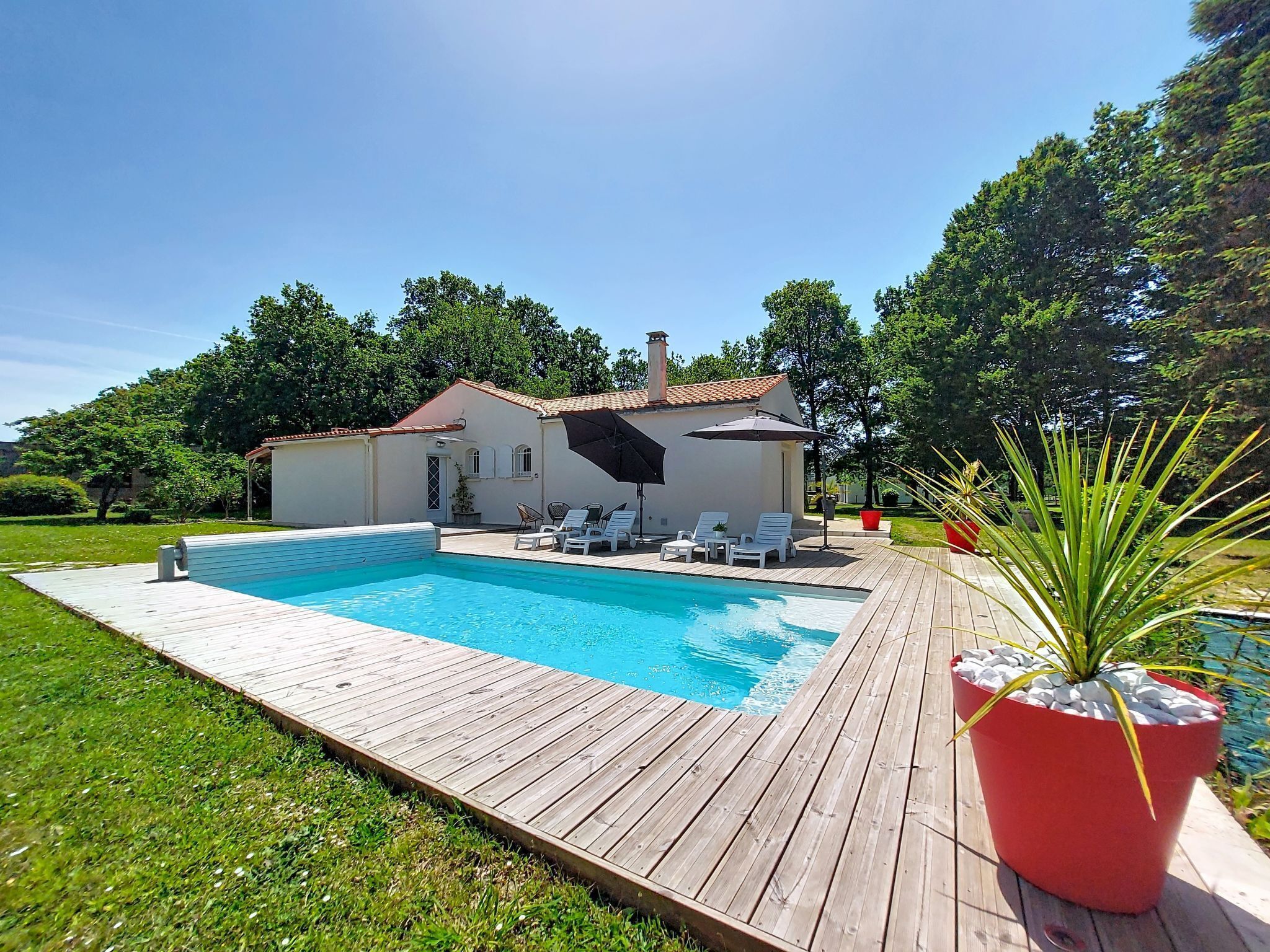 A swimming pool with a wooden deck, white lounge chairs, and a red potted plant.