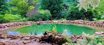 White Pine Cabin With Swimming Pond & Hot Tub Jacuzzi