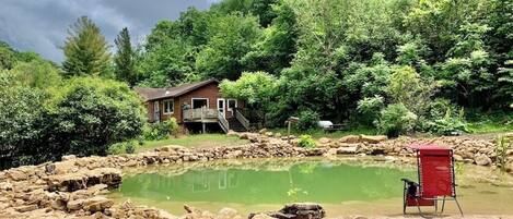 A rustic cabin with a pond, surrounded by dense forest and a cloudy sky.