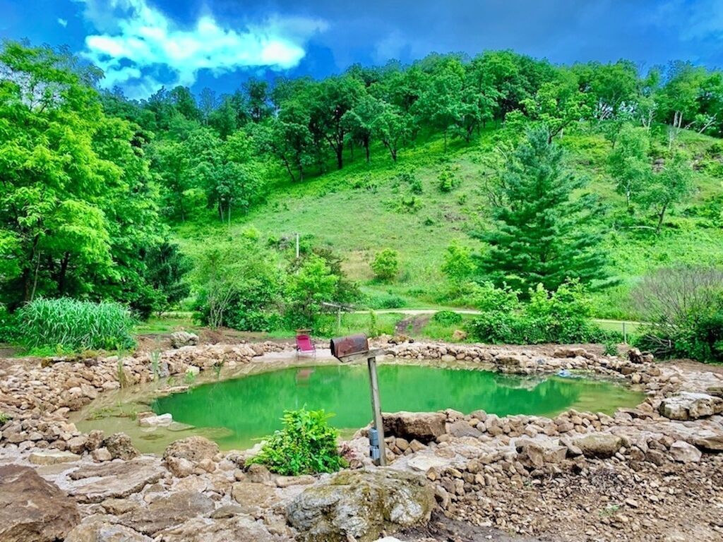 Paisaje natural con un estanque, rodeado de follaje y árboles.