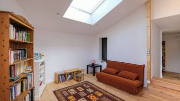 Smart-tv, een open haard, een dvd-speler en boeken