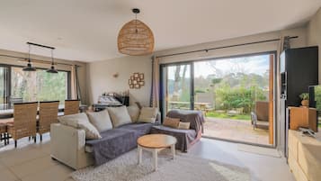 TV connectée, cheminée, lecteur de DVD, livres