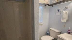 A bathroom with a walk-in shower, toilet, and sink.