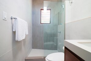 Shower, hair dryer, towels, soap