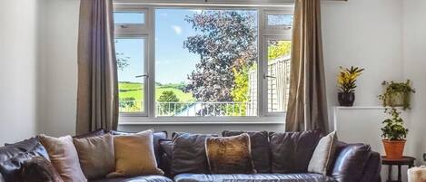 Televisión y estéreo