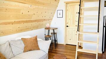 Smart-TV, Kamin