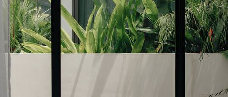 Een modern gebouw met een witte gevel, grote ramen en een balkon met weelderige groene beplanting.