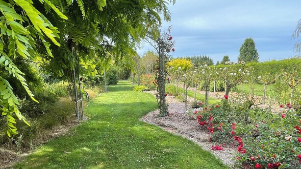 A garden pathway with lush greenery and flowering plants. - Country Getaway - Studio room with Ensuite in seven-acre landscaped gardens. (Waitohi)