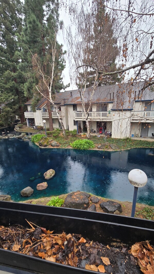 Property grounds - Cozy 2-bedroom condo in charming San Jose with AC, WiFi (San Jose)