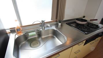 A kitchen with a stainless steel sink, a stove, and a small potted plant.