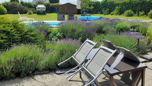 Zona de piscina con sillas de descanso, un cobertizo y una casa al fondo.