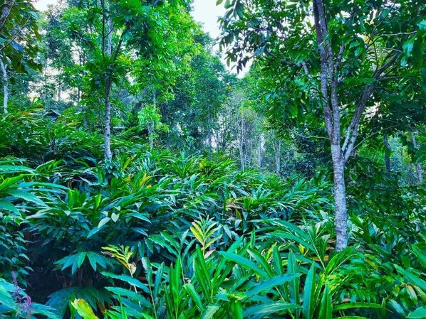 Enceinte de l’hébergement