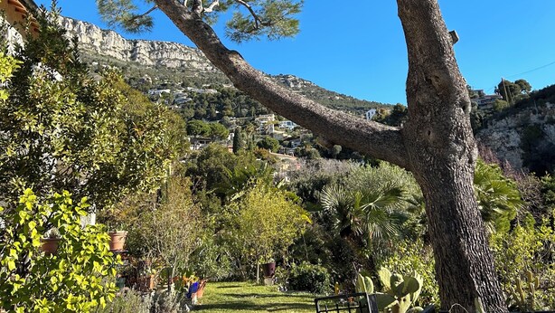 Ein von Bäumen gesäumter Garten mit Blick auf eine Hügelstadt.
