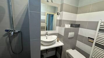Shower, hair dryer, soap, toilet paper