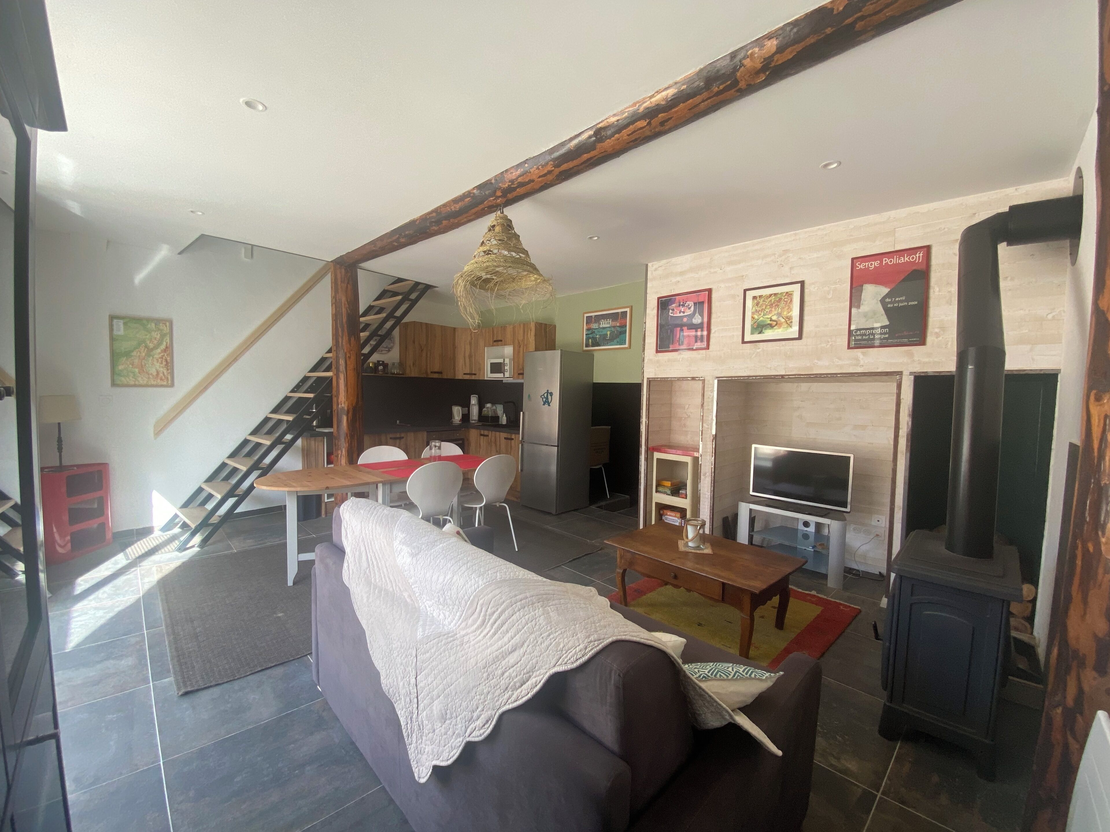 TV, fireplace, books