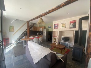 TV, fireplace, books