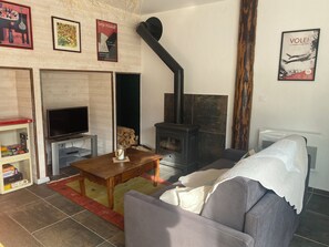 TV, fireplace, books