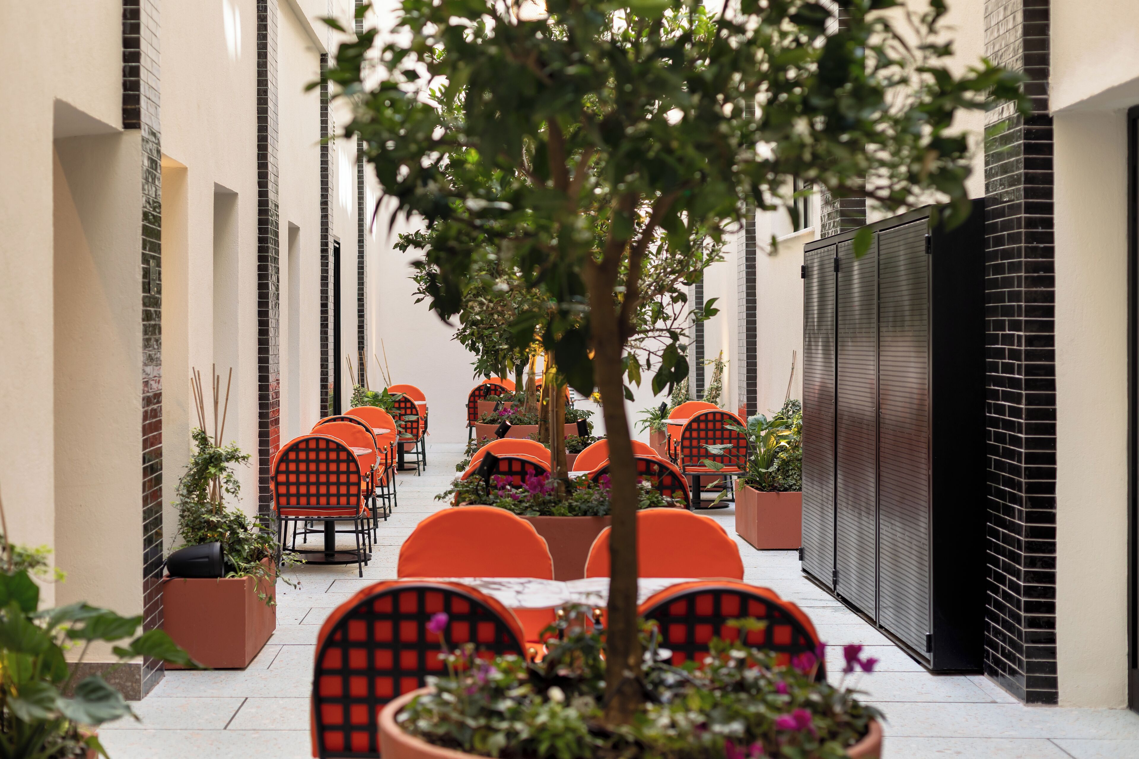 Photo - Hotel Bazaar - FATTAL COLORS