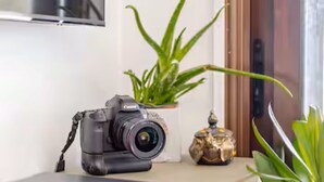 Câmera sobre uma bancada com uma planta em vaso e um objeto decorativo.