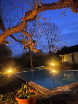 Una piscina con una rama de árbol que se extiende sobre ella, rodeada por un jardín con una planta en maceta al frente.