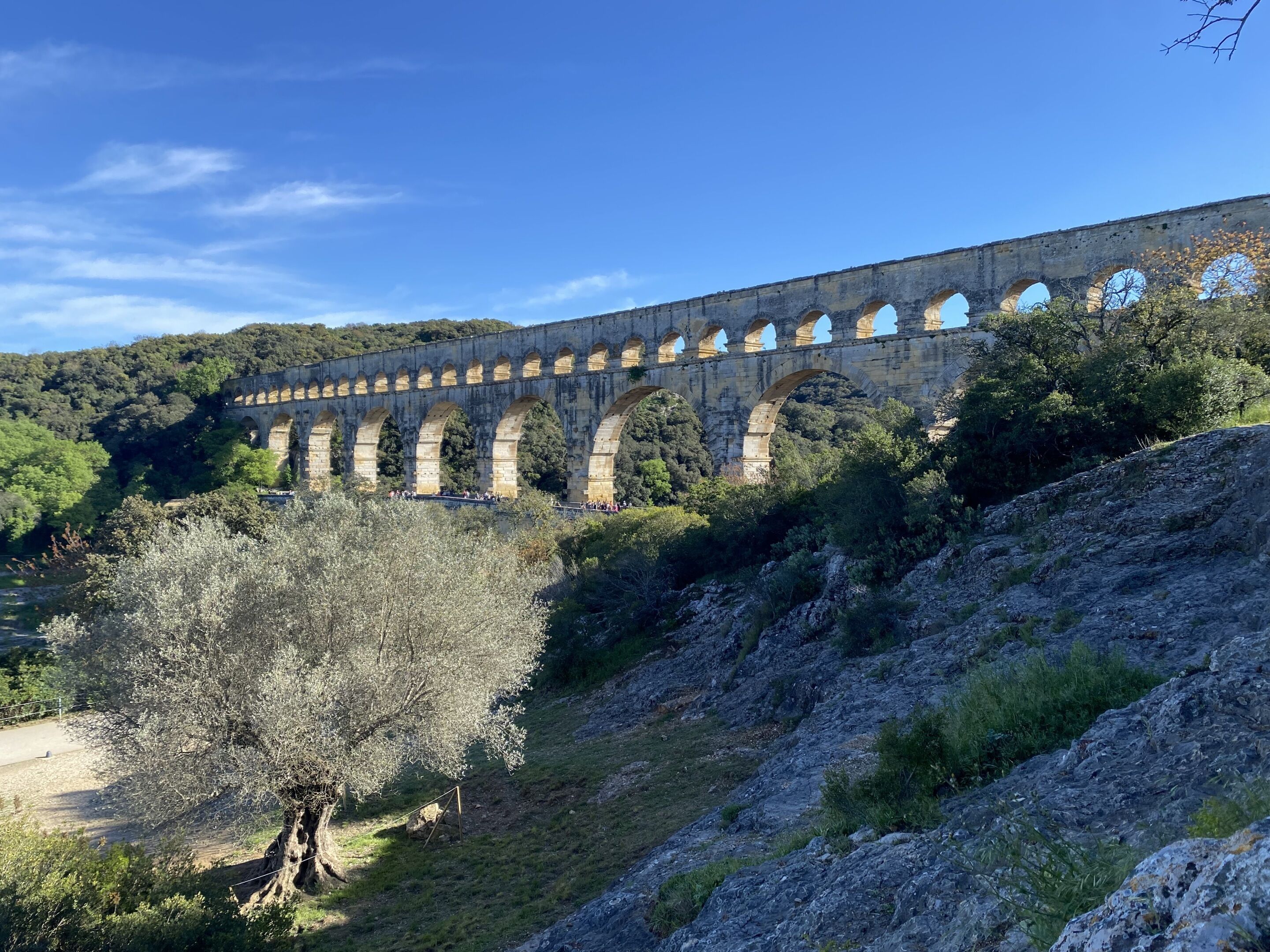 A stone viaduct with multiple arches, surrounded by greenery and trees.