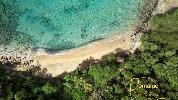 An aerial view of a beach with clear turquoise waters, a sandy shore, and dense green vegetation. - Tibo villa bottom Access 4 beaches in Deshaies (Deshaies)
