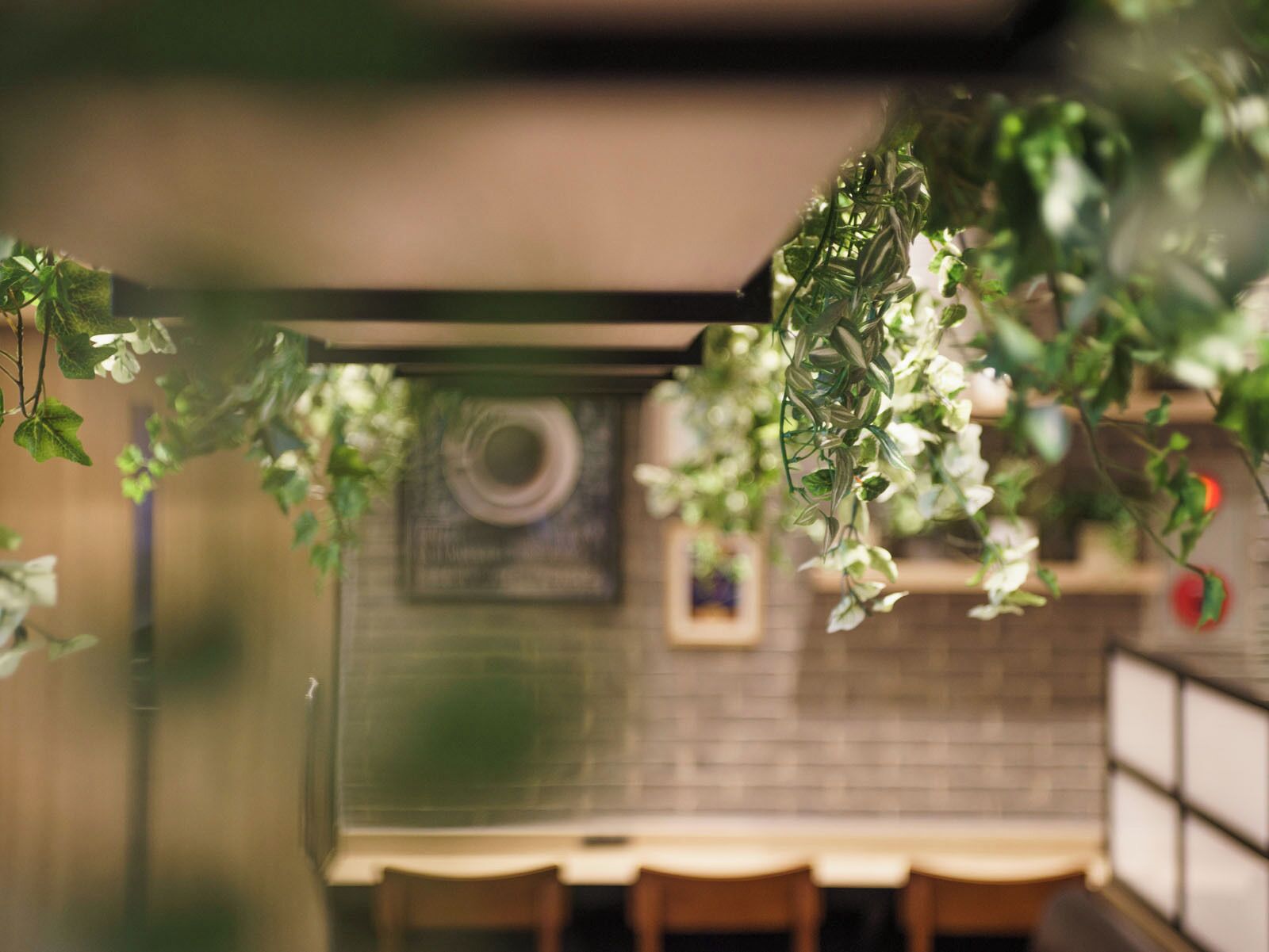 A restaurant interior with hanging plants, a brick wall, and a tiled backsplash.