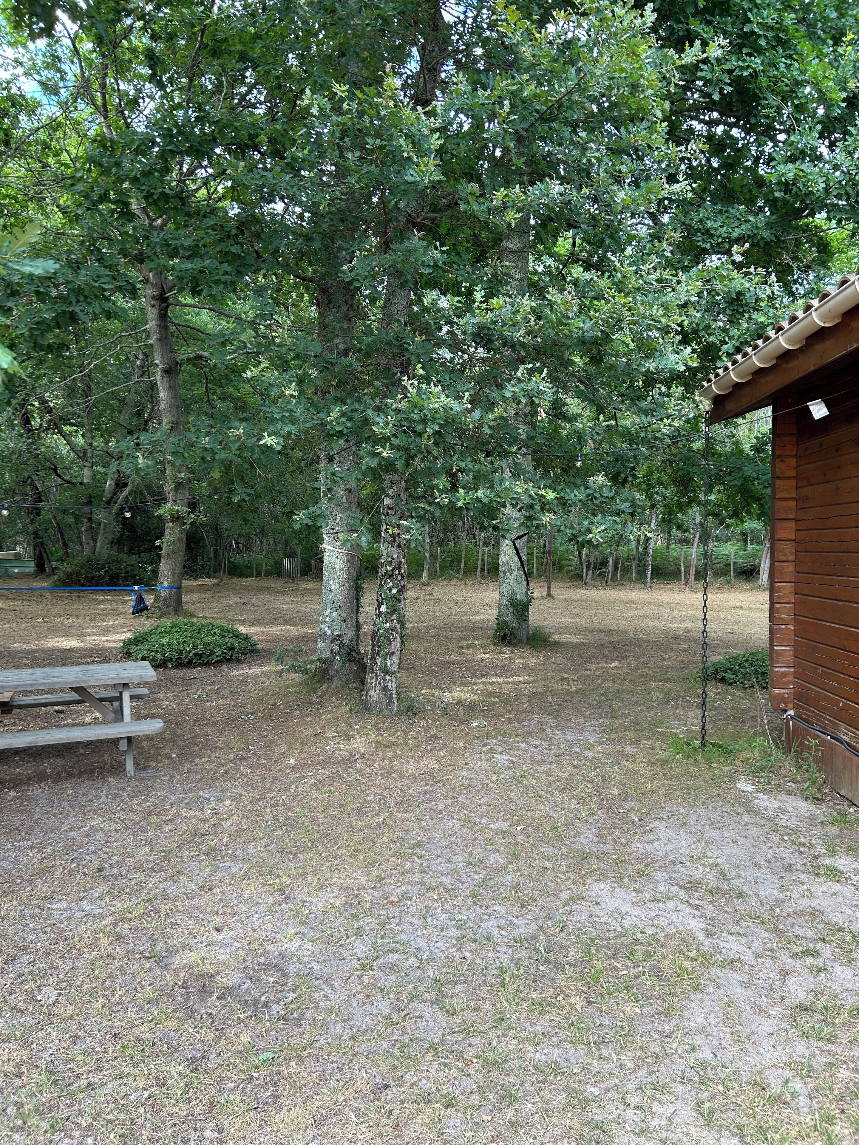 A wooded area with a wooden cabin, picnic table, and chain-link fence.