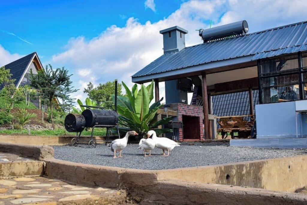 Enceinte de l’hébergement