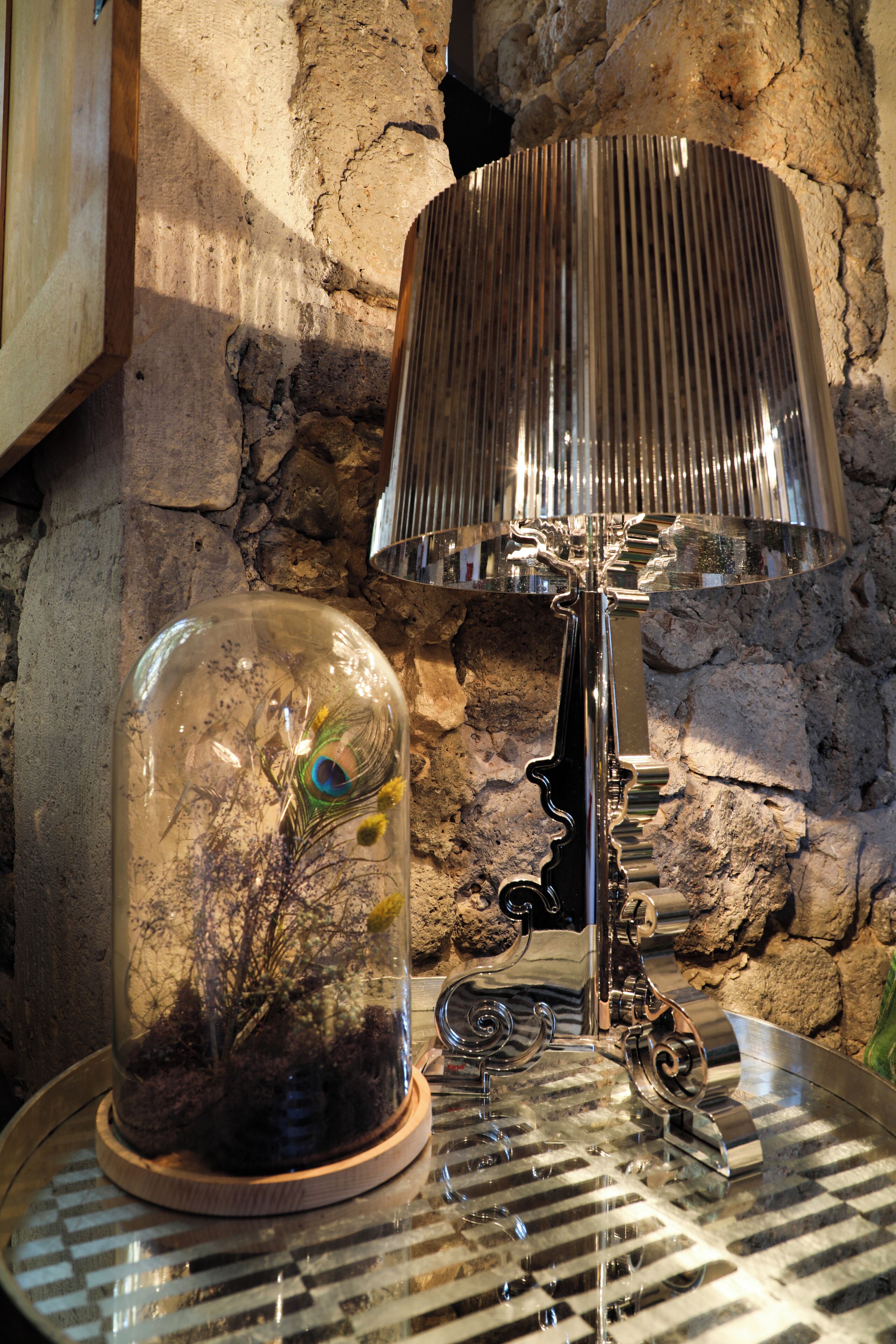 A lamp with a reflective surface and a glass enclosure containing a plant and a peacock feather.