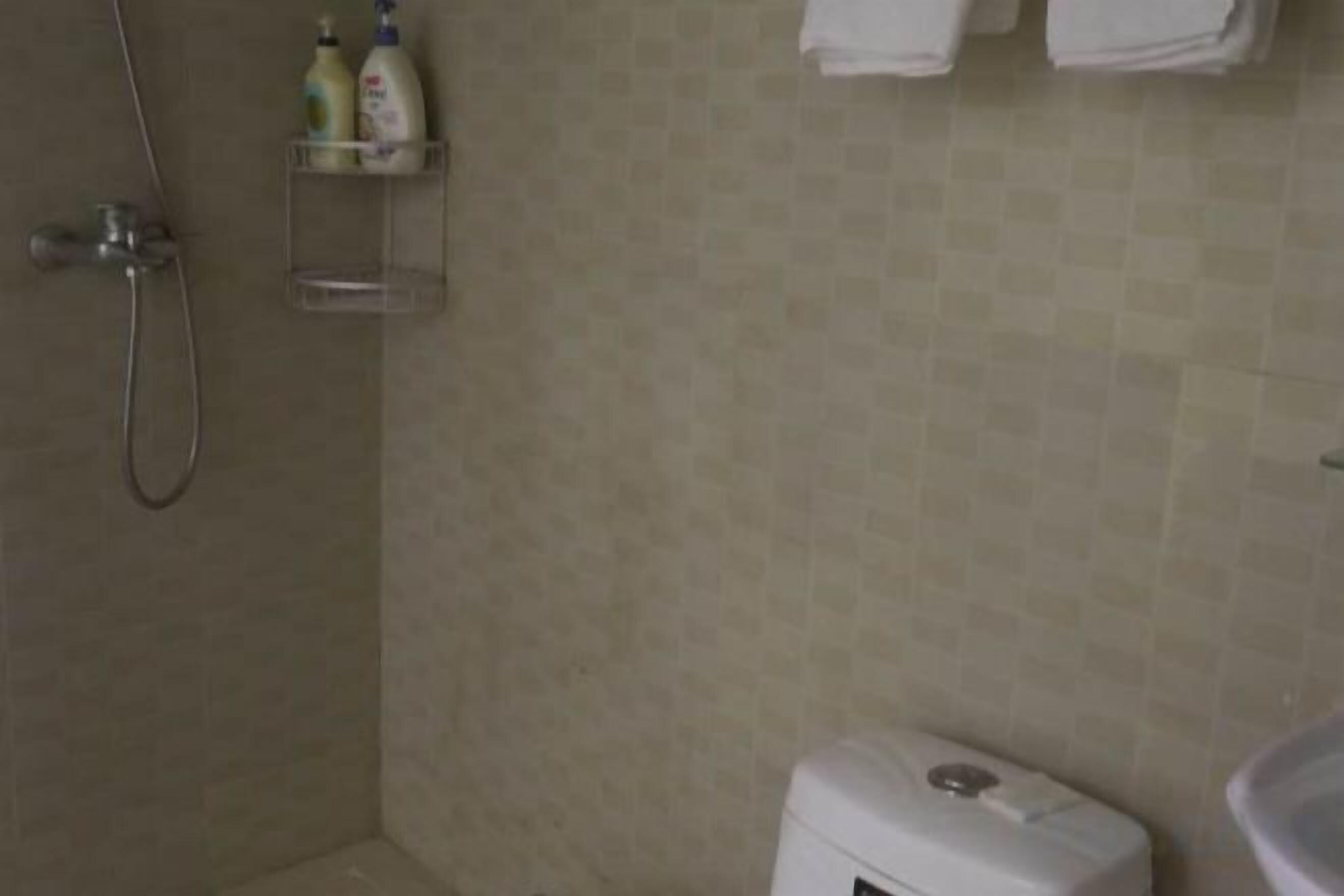 A bathroom with a shower, toilet, and a shelf with toiletries.