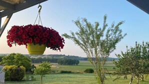 A hanging flower pot with red flowers, a small tree, and a grassy field in the background. - Relaxation and Well-being break near Bordeaux | Yoga & Swimming pool (Chatenet)