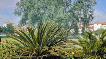 Villa | Property grounds
