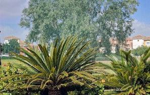 Villa | Property grounds