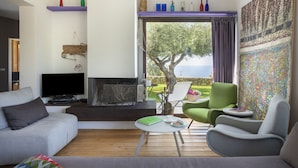 A modern living room with a fireplace, a television, and a view of the outdoors.