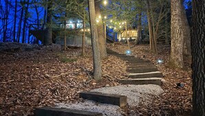 A forested area with a wooden staircase leading to a building. - The Lookout | Secluded A-Frame | Hot Tub | Games (Campton)