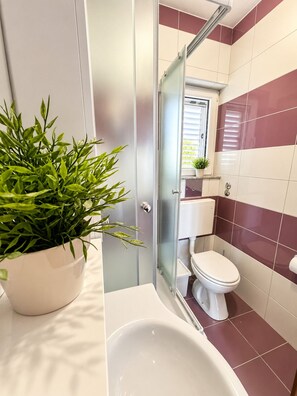 A bathroom with a glass shower enclosure, a toilet, and a potted plant. - Apartment Bodulo 6 (Povljana)