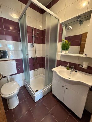 A modern bathroom with a glass-enclosed shower, a white sink, and a toilet.