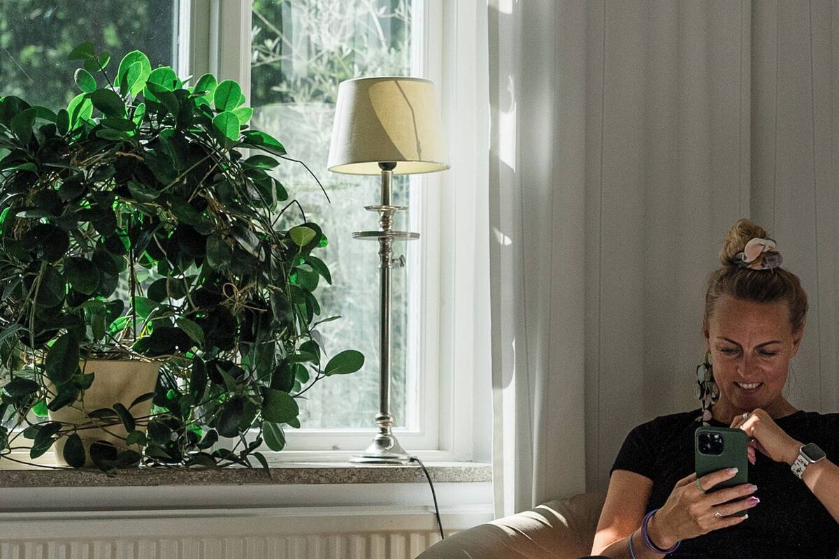 A room with a large window, a potted plant, a lamp, and a person sitting on a chair.