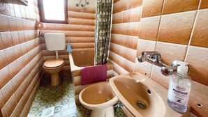 Une salle de bain équipée de toilettes, d’un bidet, d’un lavabo et d’un rideau de douche.