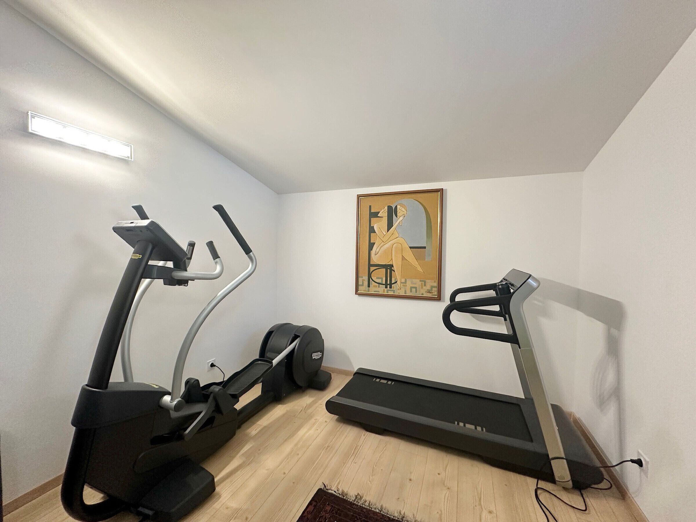 Une pièce équipée d’un tapis de course, d’un vélo elliptique et d’un vélo d’appartement. Un tableau orne le mur et le sol est en bois.