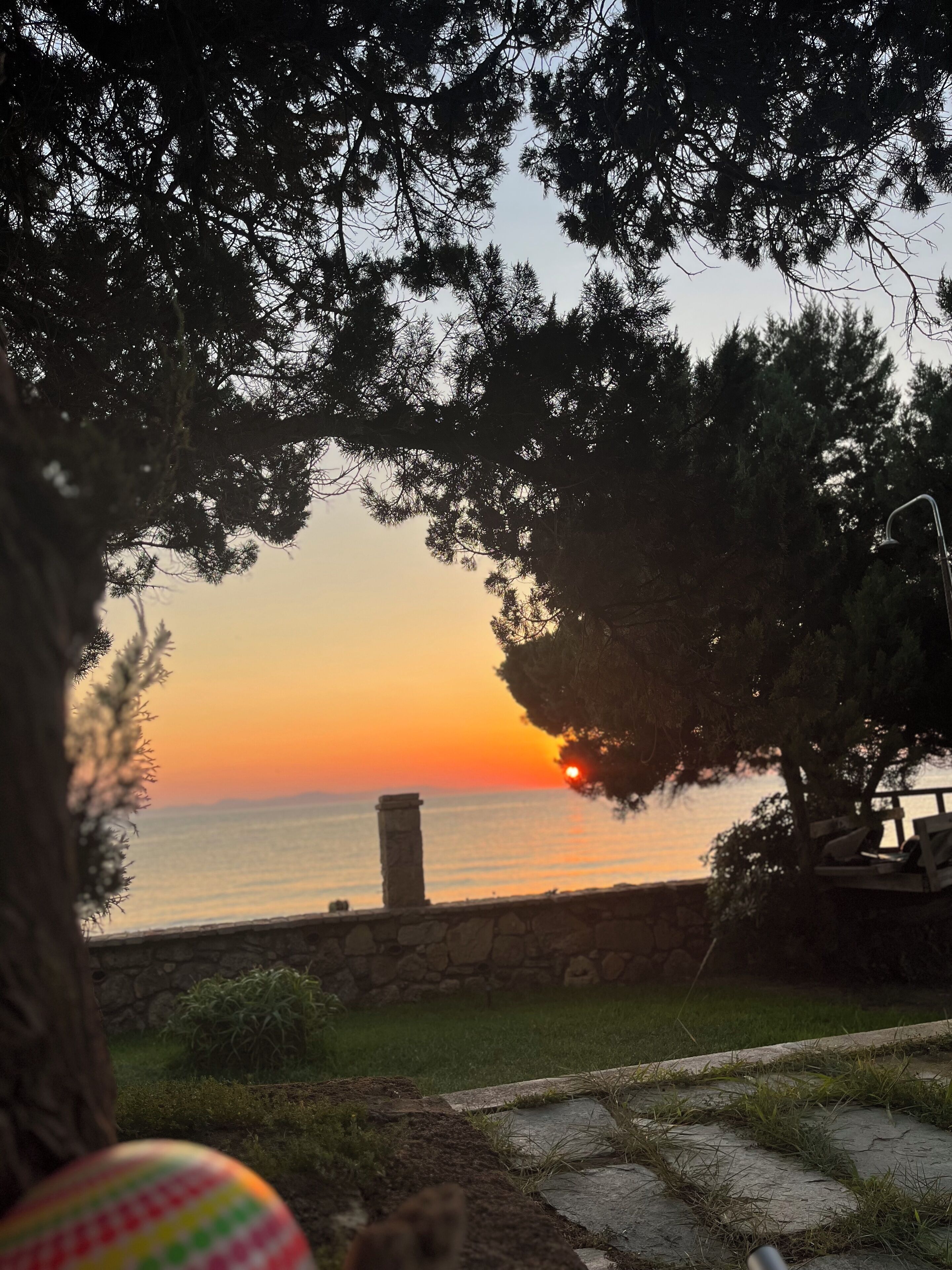 A sunset view through trees, a stone wall, and a grassy area.